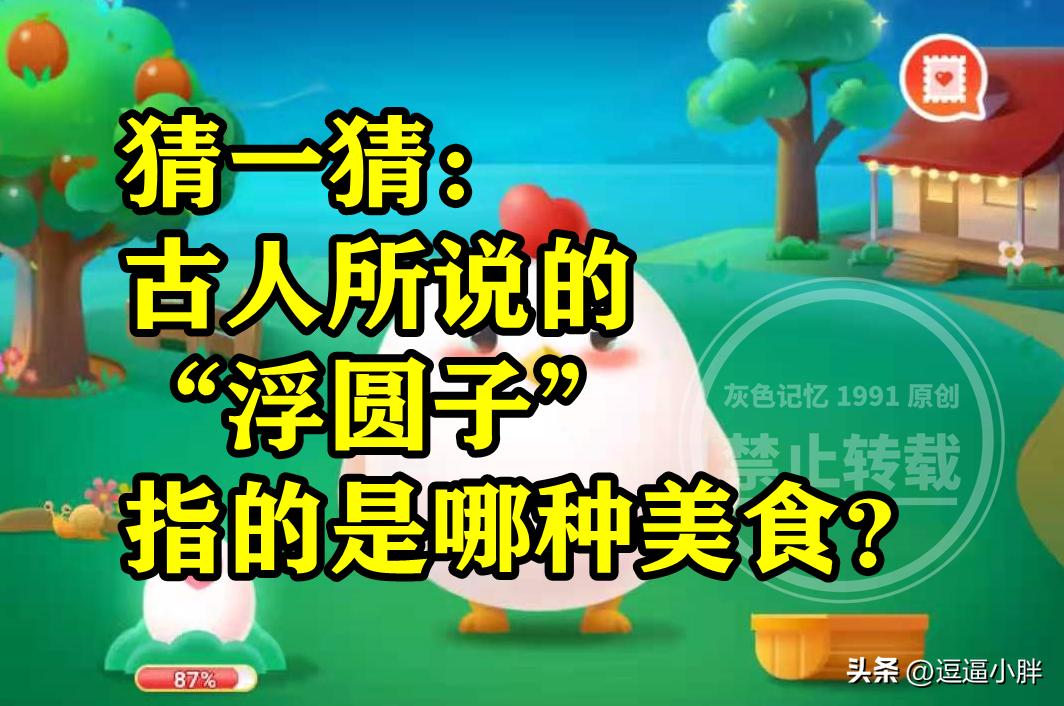 古人说的浮园子指的是哪种美食,古代的浮圆子是什么美食