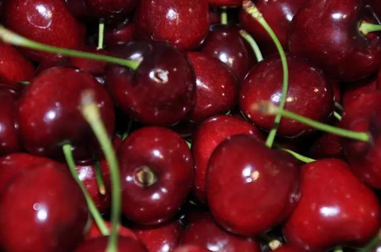 四种蔬菜水果含寄生虫,寄生虫特别多的三种水果