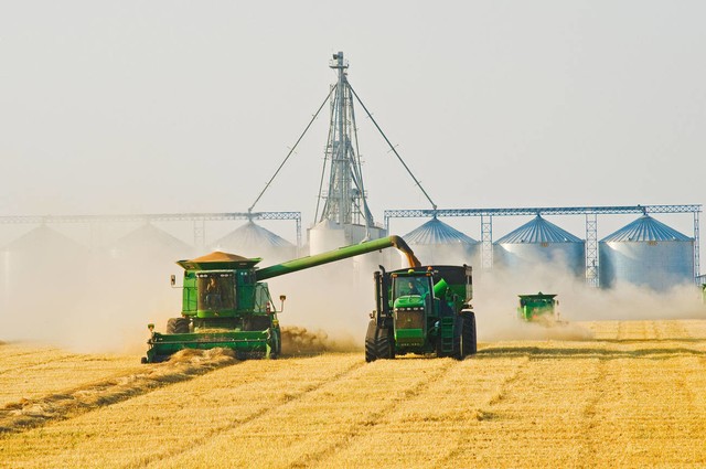 国家怎么扶持农村农业发展,政府大力扶持农民的好处