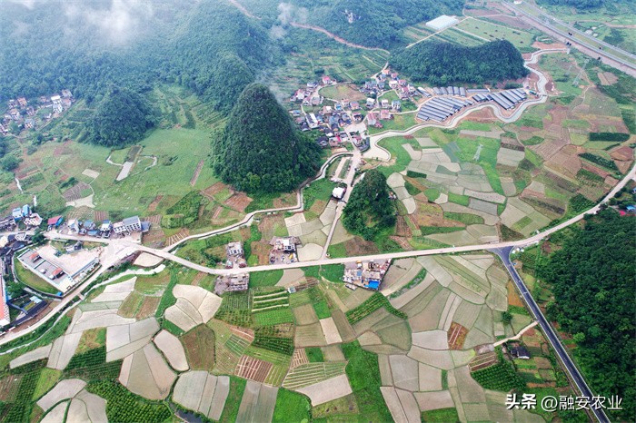 广西融安绘就美丽乡村画卷感想,融安泗顶田园航拍