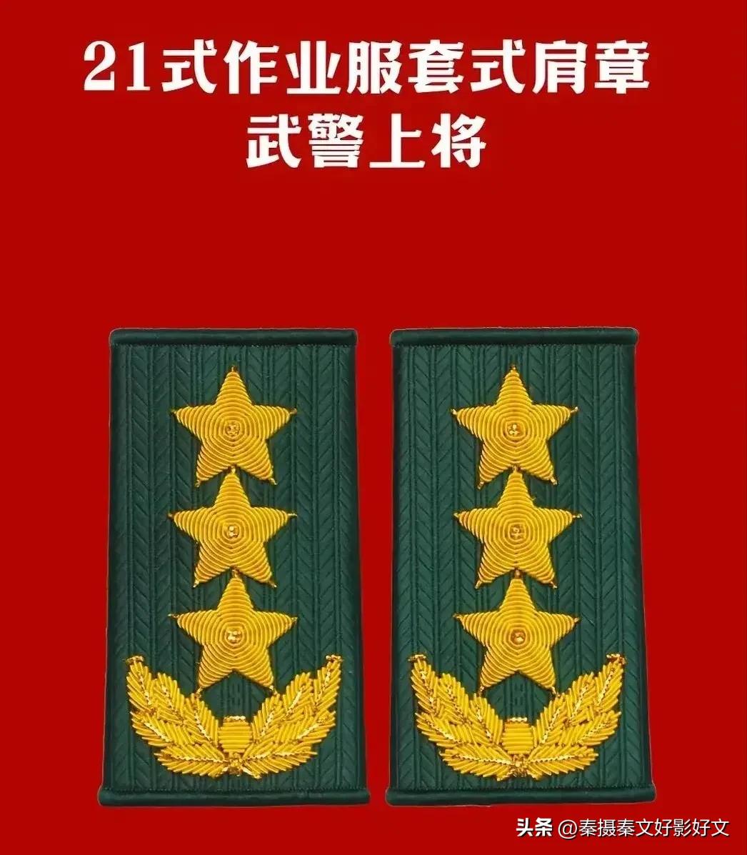 陆海空火箭军*警武**部队全套常服肩章和21式作业服套式肩章