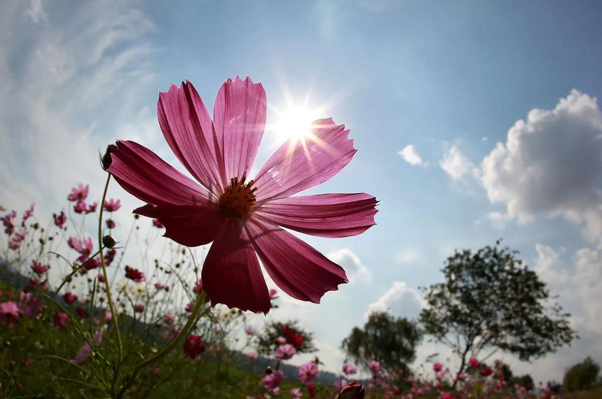 满江红有一刻能让你热血沸腾,满江红分享感想