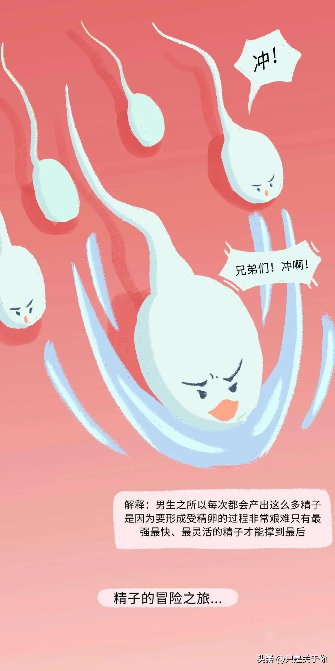漫画：精子进入女生体内的全过程