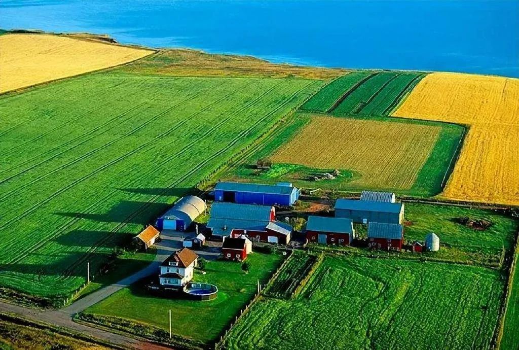 智慧农业行业前景及市场分析,未来智慧农业市场规模