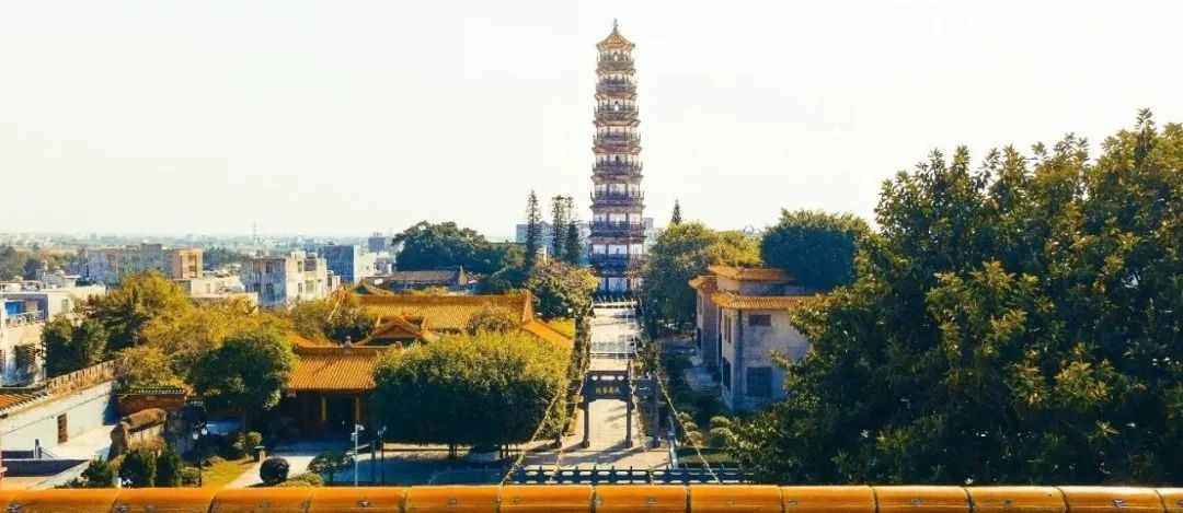 雷州市撤县设市吗,撤县设区周年