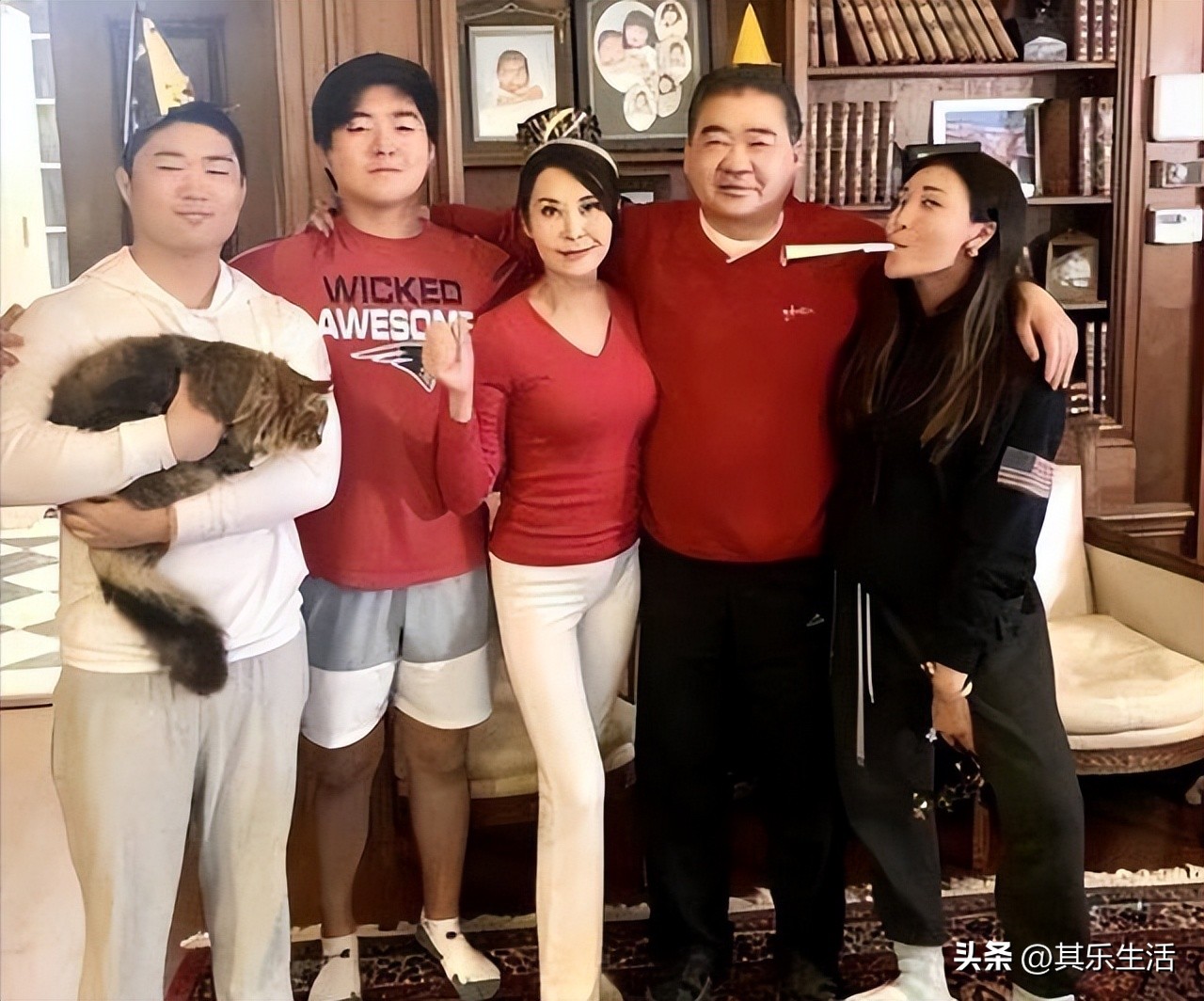 何家劲版中华英雄1-42集电视剧,何家劲版中华英雄续集