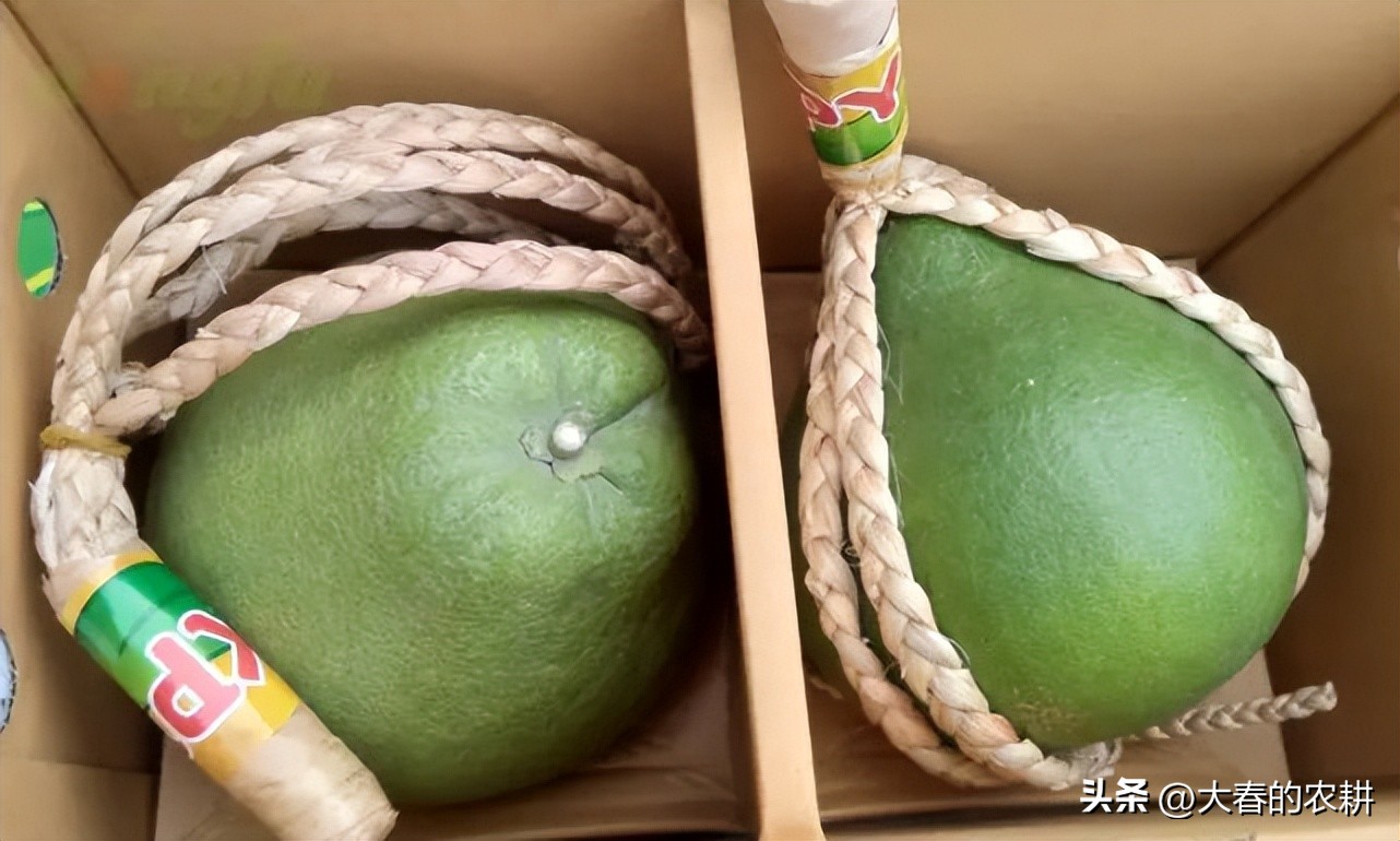 一斤100元的水果,一斤100元