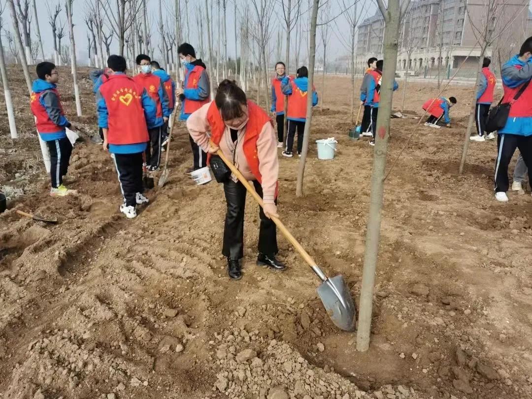 团团工作回顾,团团现在的工作