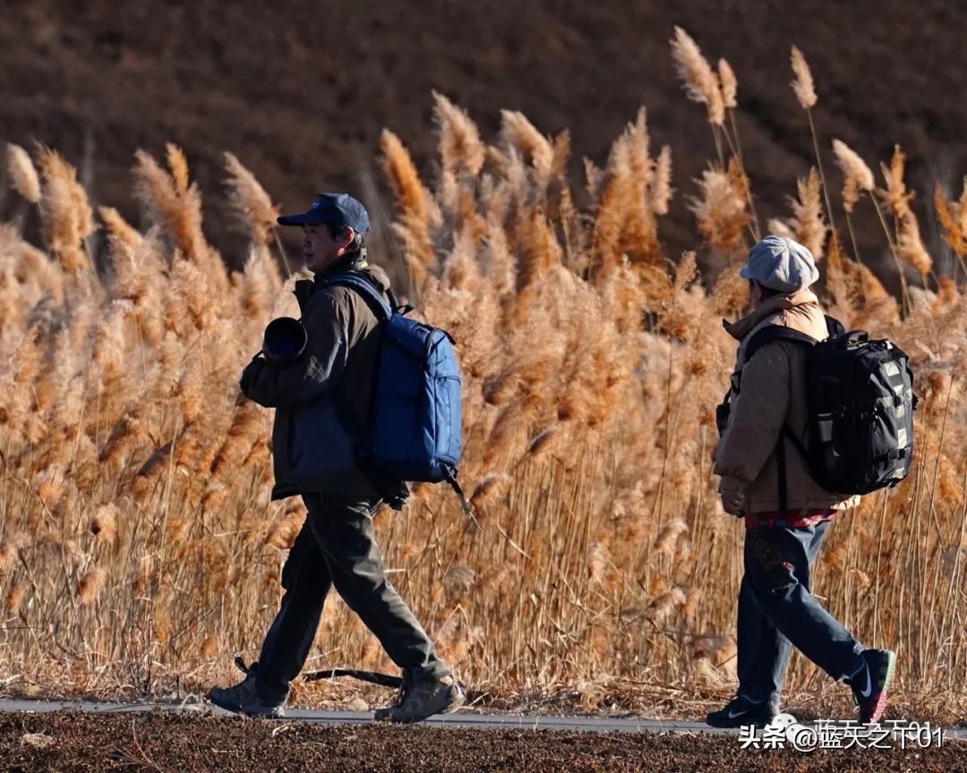 别人经常用你手机拍照怎么办,如果有人对你拍照怎么办