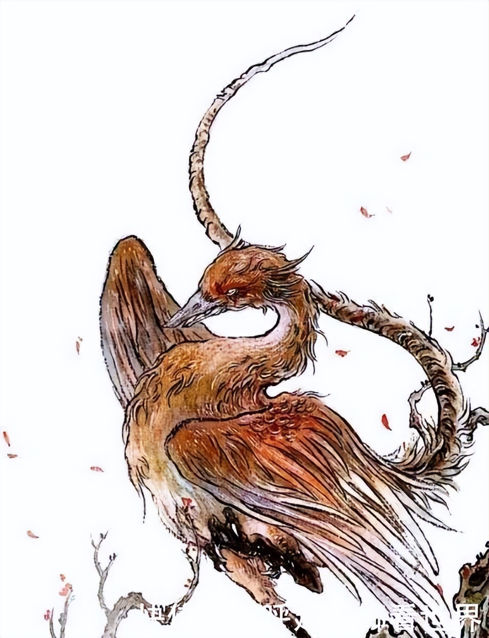 妖怪名单500集,妖怪名单第51集完整版