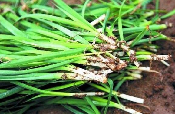 新手做手游代理开始推广要怎么办,新手做手游代理的建议