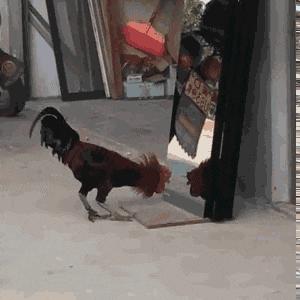 改作业的东西取不出来怎么办,改作业时油溅在作业上