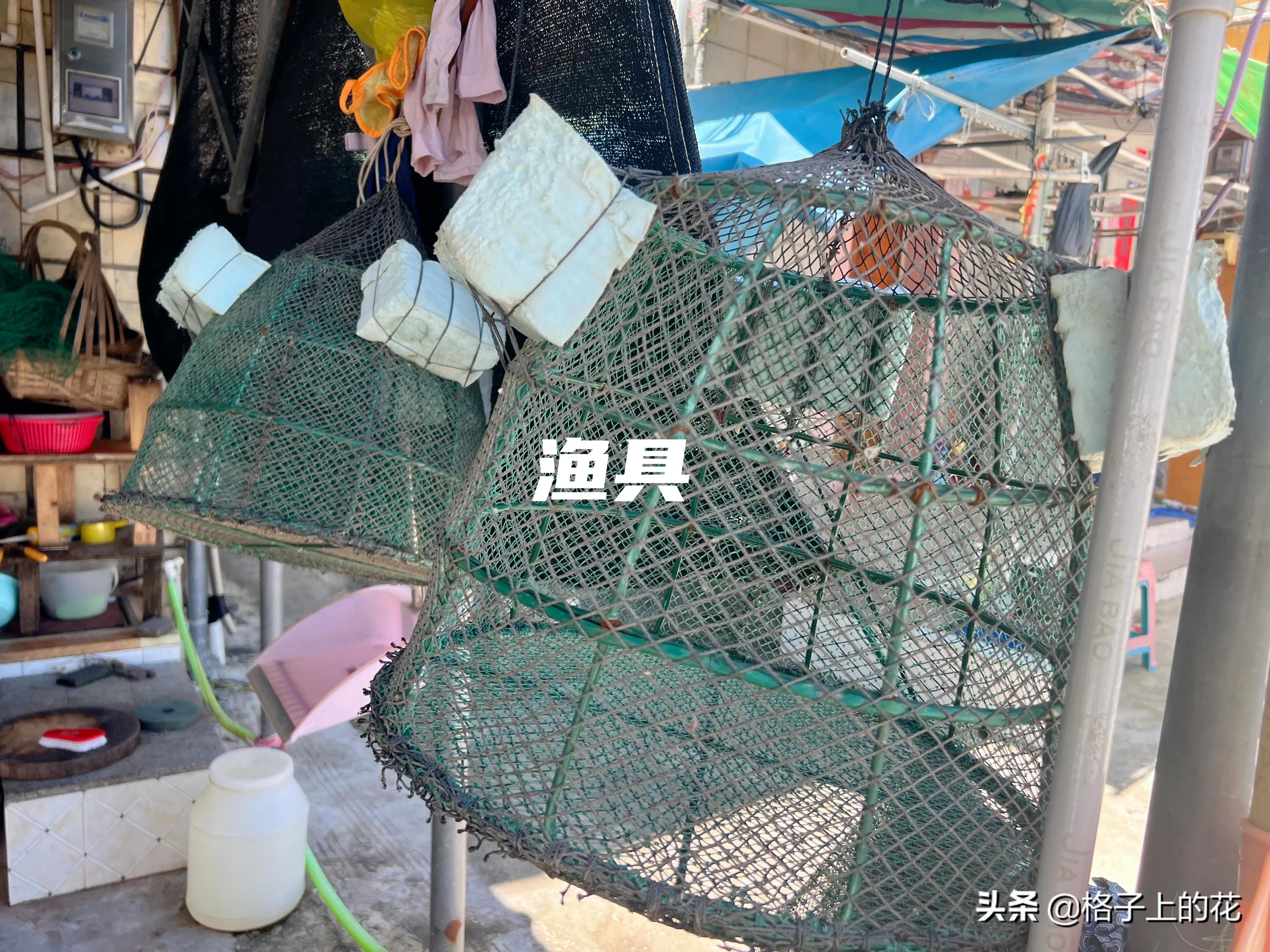 惠州怎么坐船出海旅游,惠州坐船上岛游玩攻略