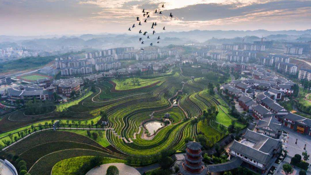 毕节大方旅游景点大全视频,毕节大方县最近事件