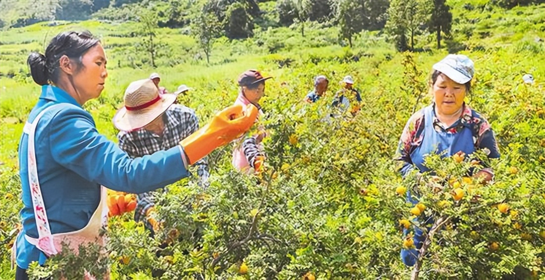 贵州的康养胜地排行榜,贵州水城风景
