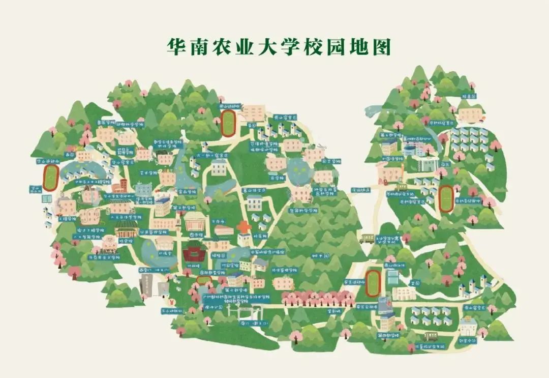 广东受欢迎的十六所大学,广东最没存在感的十大本科大学