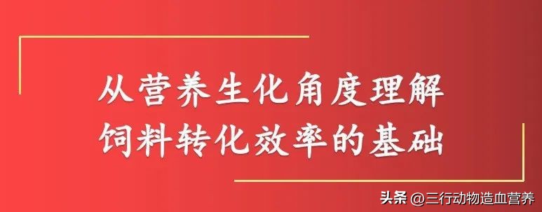 华南农业大学专家:氧气不仅是呼吸,还是一种营养