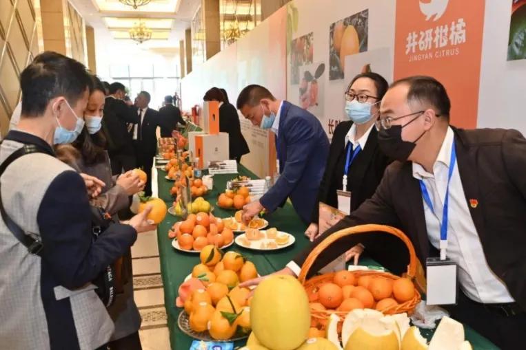 象山红美人桔子多少钱一斤,象山红美人在象山批发价多少