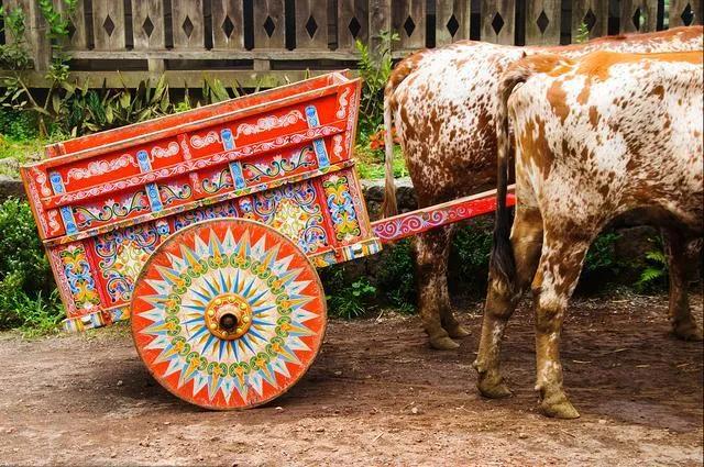 你不知道的国家冷知识黎巴嫩篇,你不知道的国家冷知识安哥拉