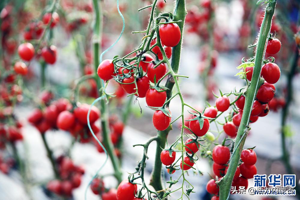 强信心新开局,强信心聚人心鼓干劲