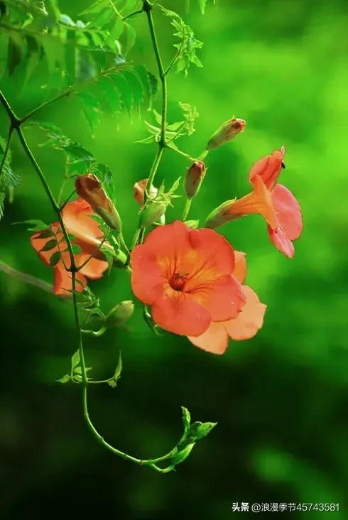 不用打字的七月再见你好八月美文,再见八月你好九月的散文