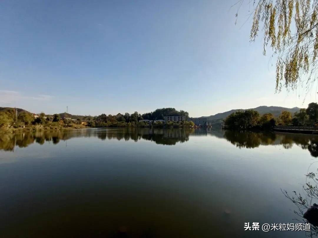 高考失败跳湖自尽的孩子你怎么看,14岁中学生留下遗书投湖自尽