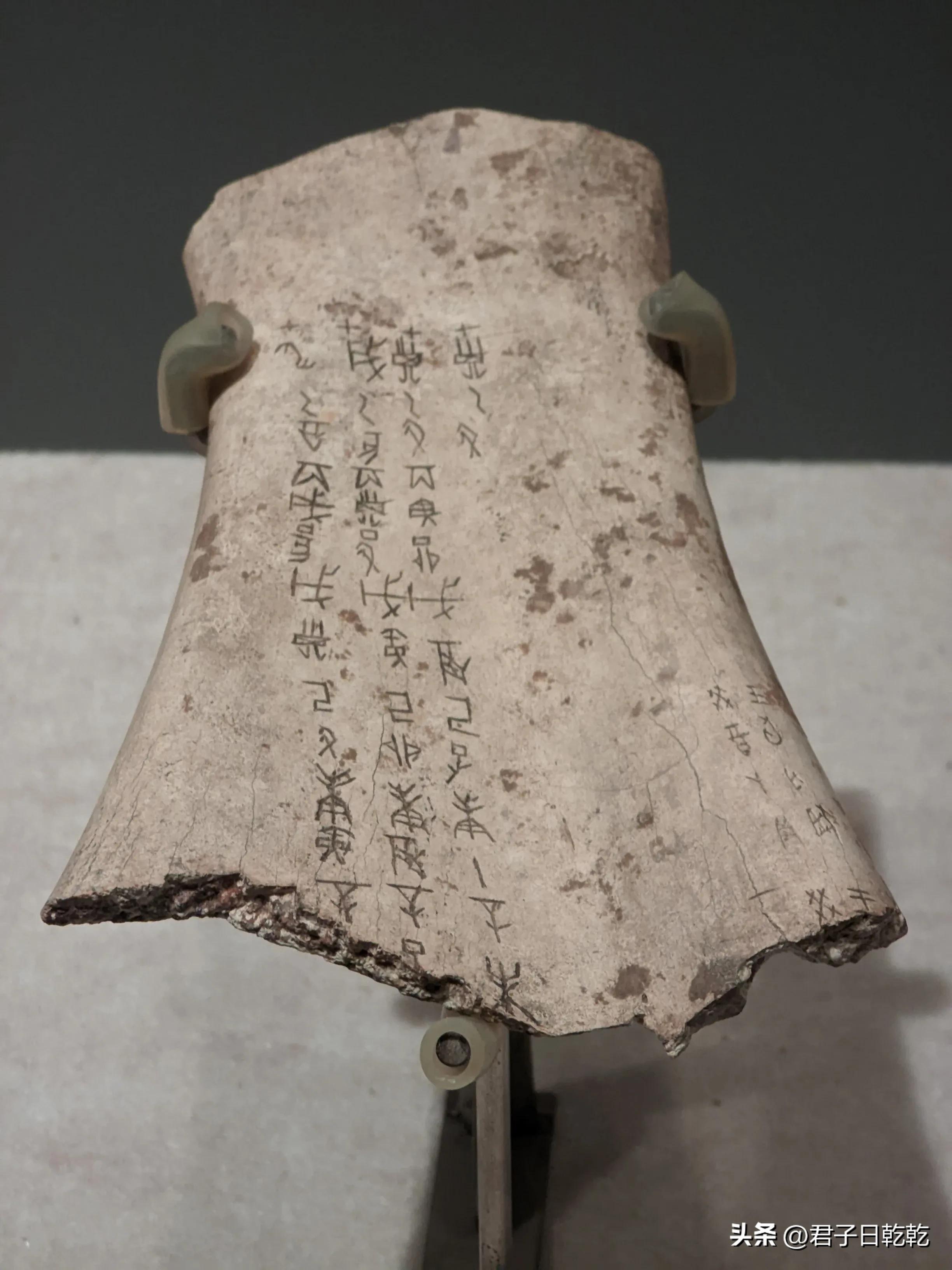 天津博物馆是天津历史博物馆吗,天津博物馆和山东博物馆哪个好