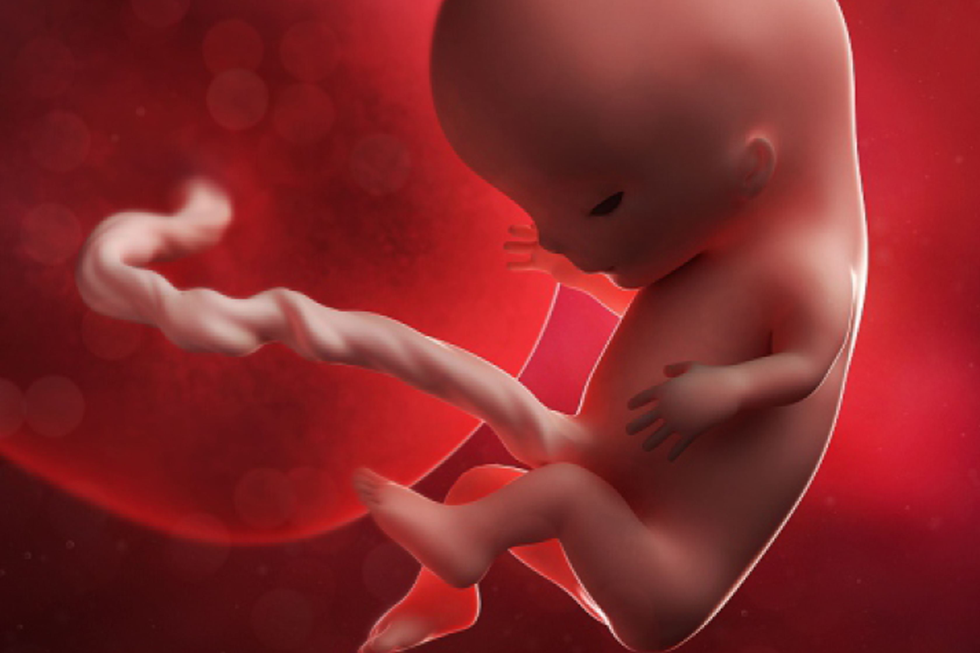 为什么肚脐眼不能抠,为什么说肚脐眼有泥不能抠