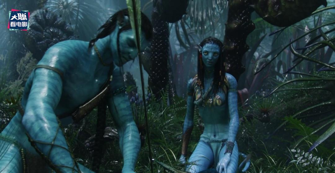阿凡达细节讲解,阿凡达2全过程讲解