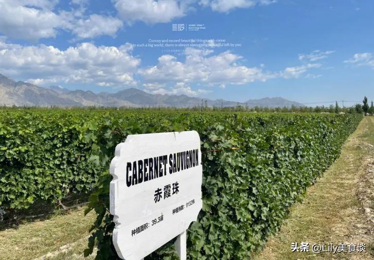 欧洲最好的红酒品牌,国内最好的红酒产自哪里