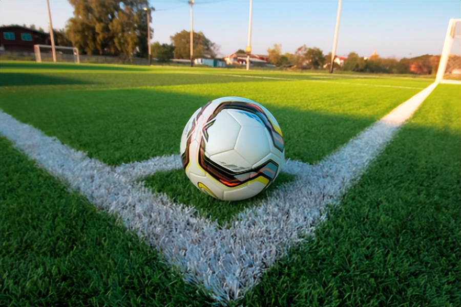 国际单项体育组织内部作出的纠纷处理决定效力如何？