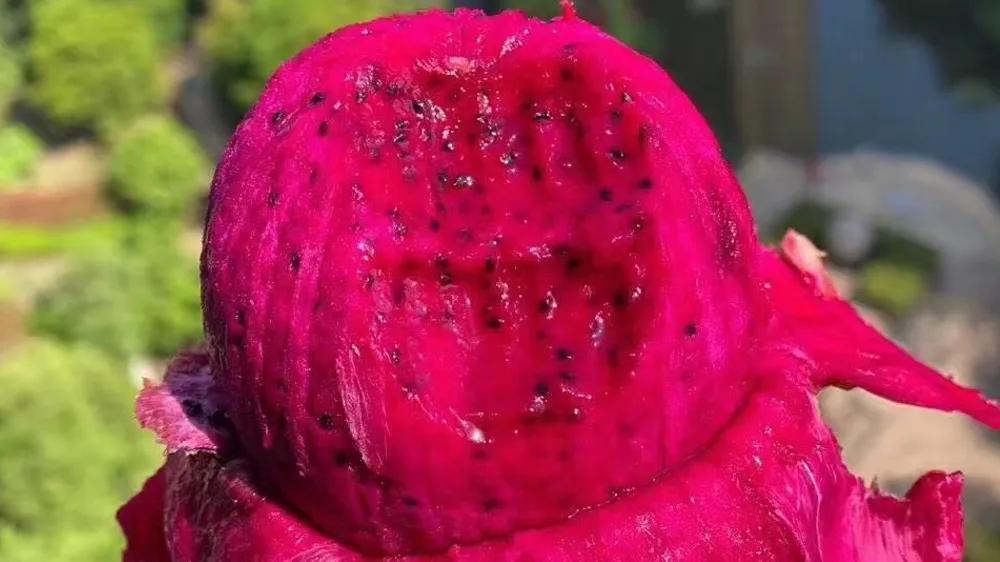 想开一家水果店货源问题如何解决,新手想开水果店有什么技巧