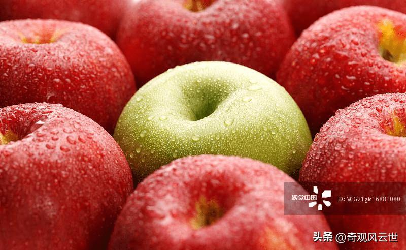 什么加盟店投资最好,贝点零食加盟店赚钱吗