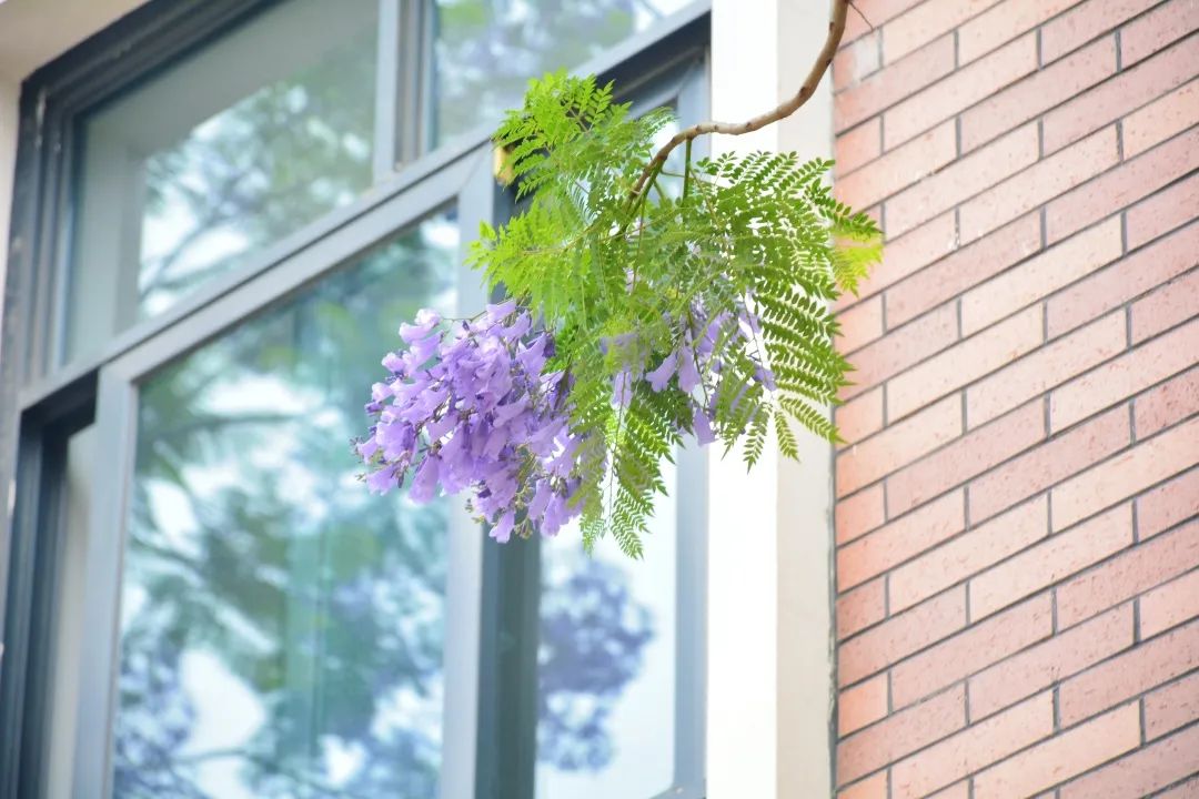 图鉴不凡｜如果你要看新川，就不能只看新川的美……