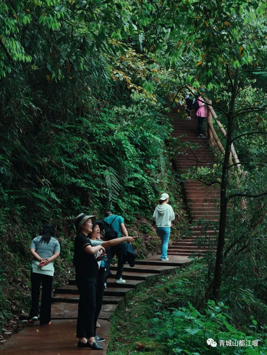 青城山森林秘境,青城山风光好去处