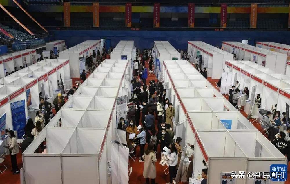 90后程序员卖羊粪直播间,29岁程序员辞职回家卖羊粪