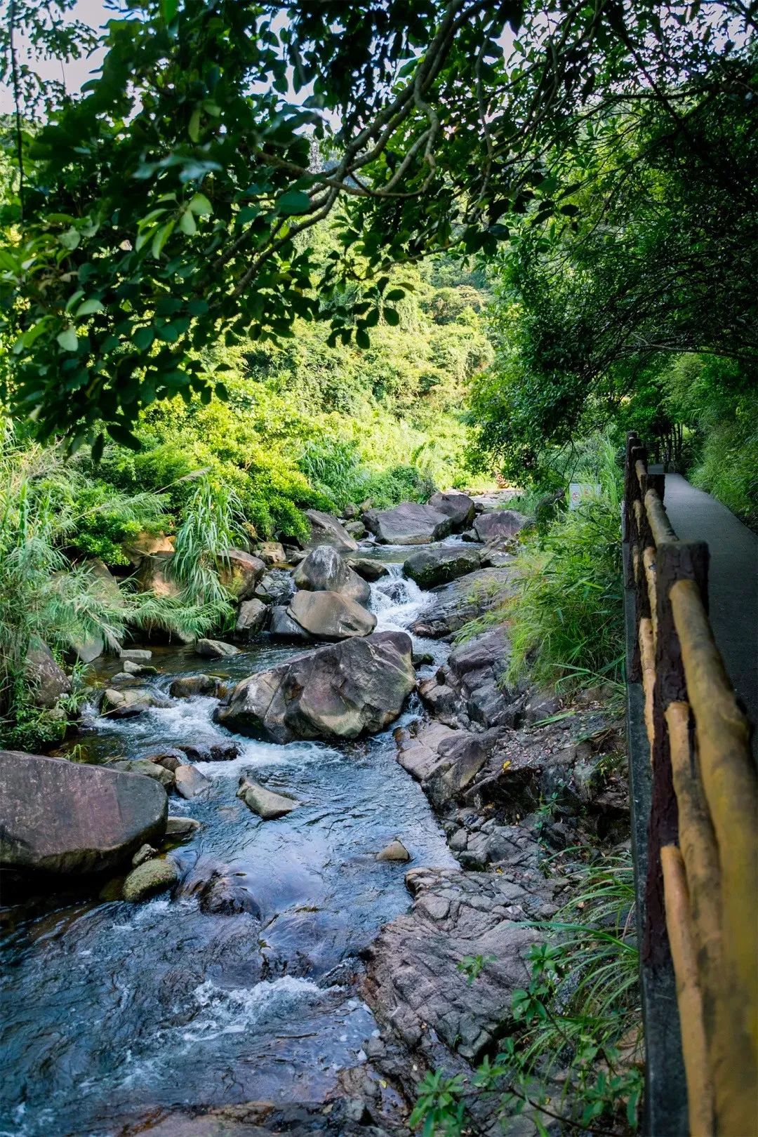 深圳罕见的避暑胜地,广东深圳避暑好去处