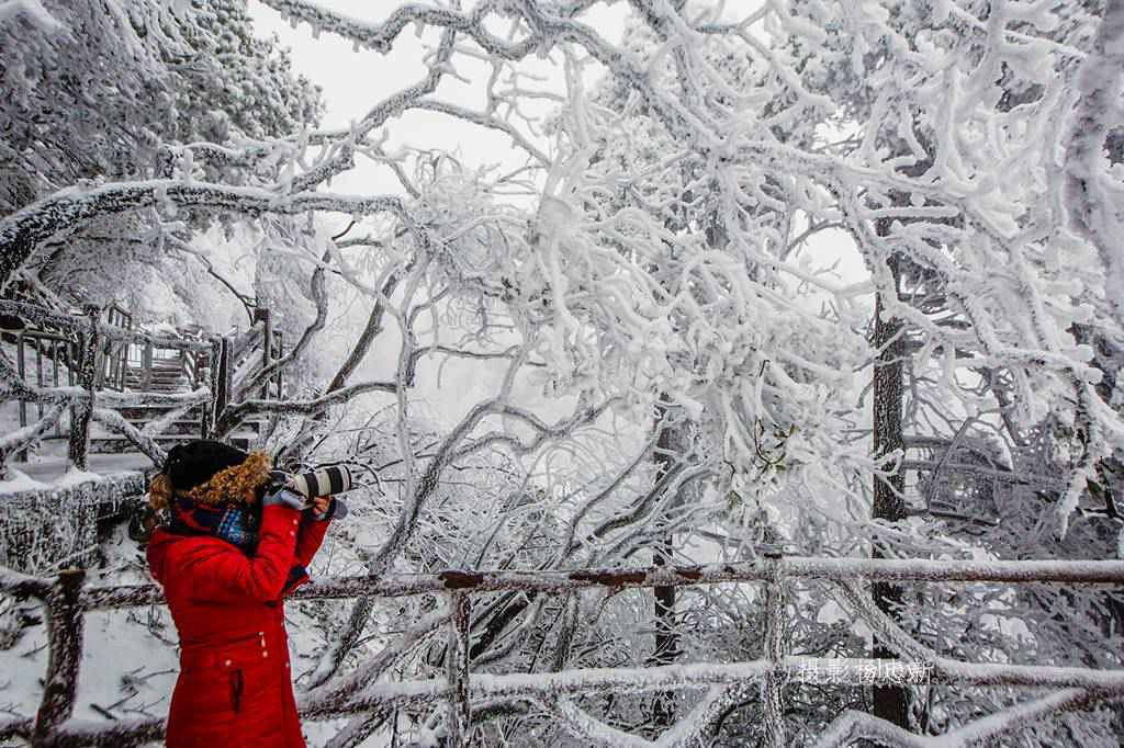 黄山日出自然人文地理摄影,黄山冬雪冬景