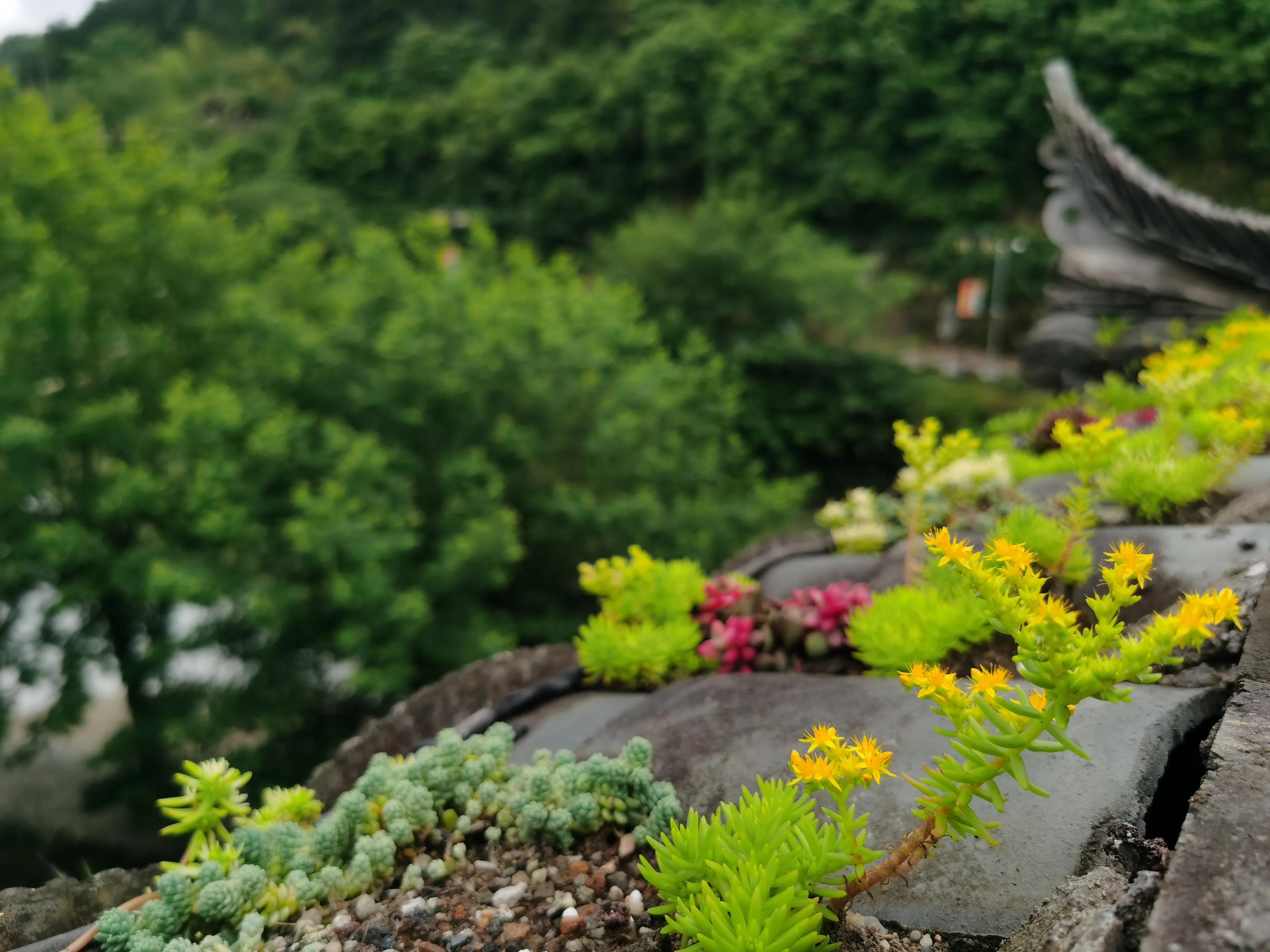 景德镇必去的5个景点瑶里古镇,景德镇旅游瑶里古镇