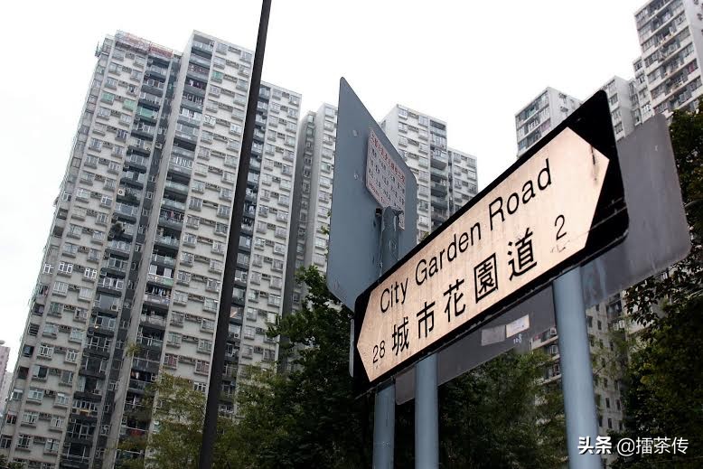 消失的海岸线半条命,快要消失的海岸线