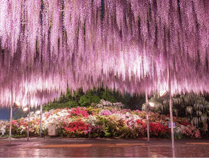 关东一日游最佳路线,关东二日游