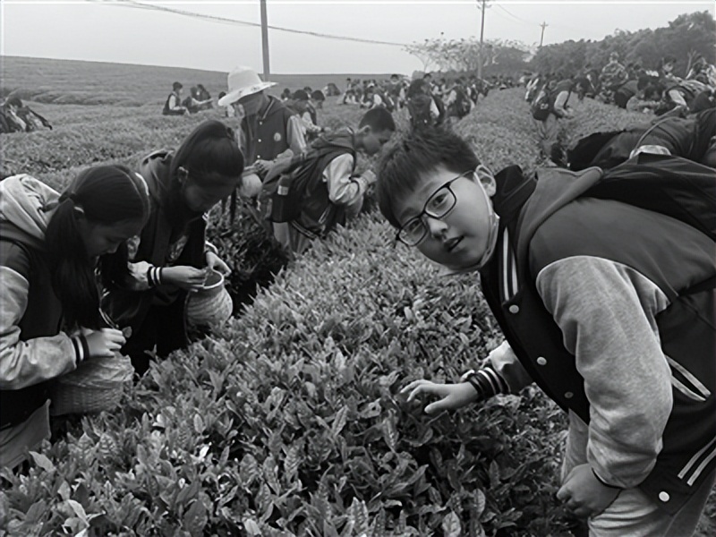 湖北省武汉市江夏区齐心小学：“三齐教育”创特色问津求真育栋梁