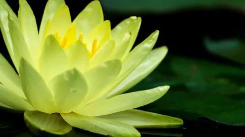 成年人的社交真相全集,成年人社交的5条忠告