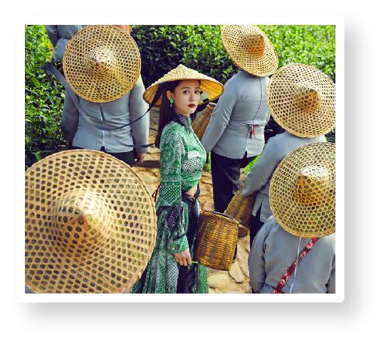 梅州雁南飞景区调查报告,梅州5a级景区有雁南飞茶田度假村