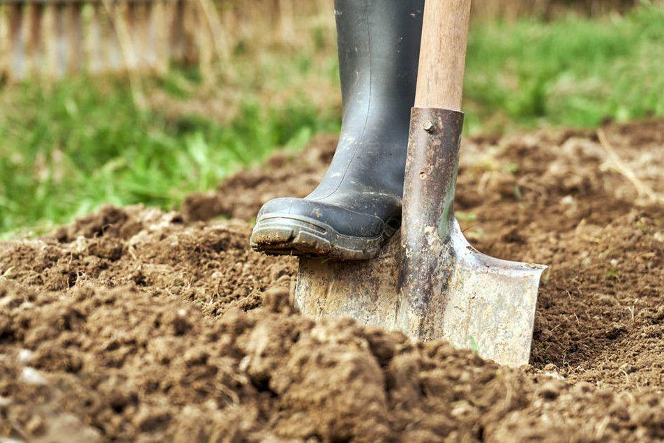 哪几个属相要避开立秋时间,立秋哪些属相要躲秋