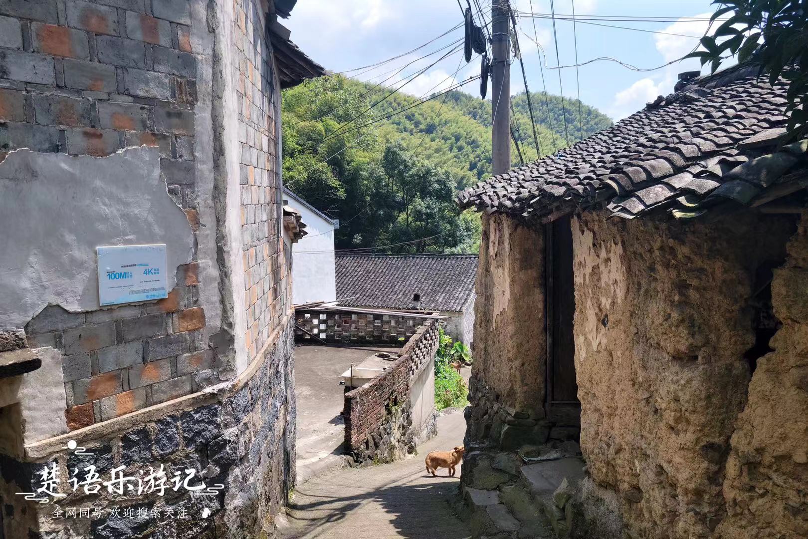 浙江隐藏最深的古村,浙江被遗忘的古村落