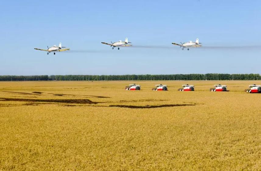 北大荒为什么要退耕还荒,北大荒退耕是什么时候