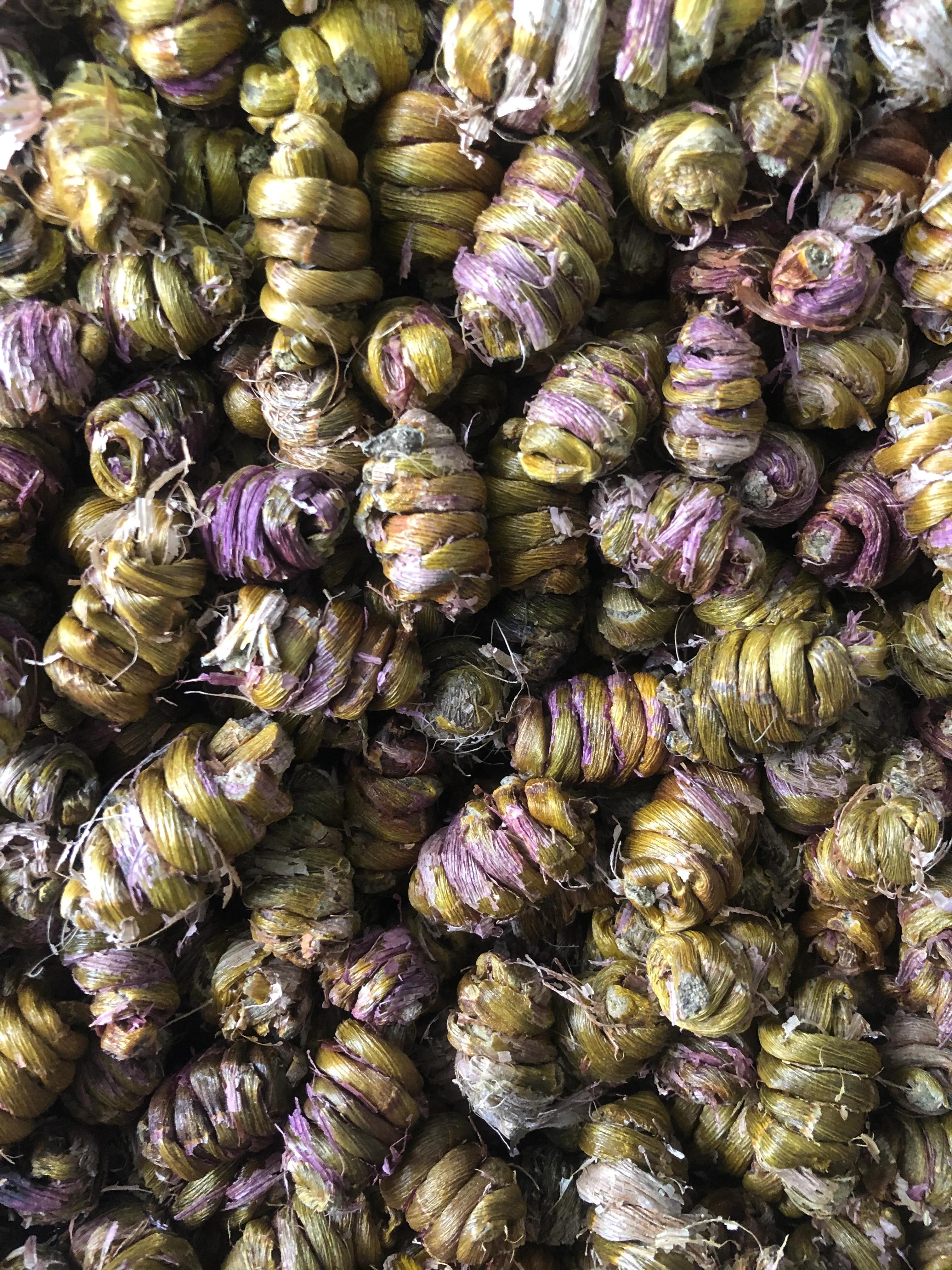 铁皮枫斗作用原理,铁皮枫斗养殖方法