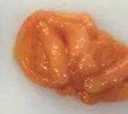 肉鸡解剖及病变特点,肉鸡解剖教学