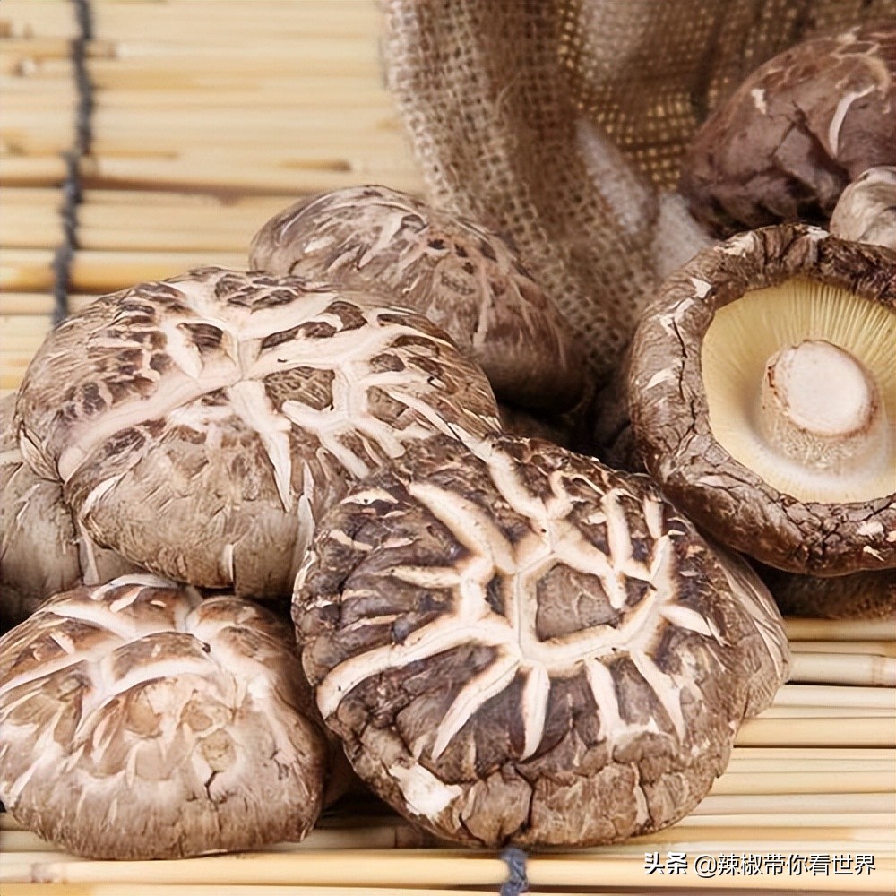 宁德大黄鱼之乡攻略,霞浦大黄鱼之乡图片